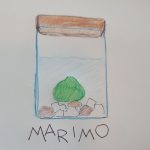 marimo